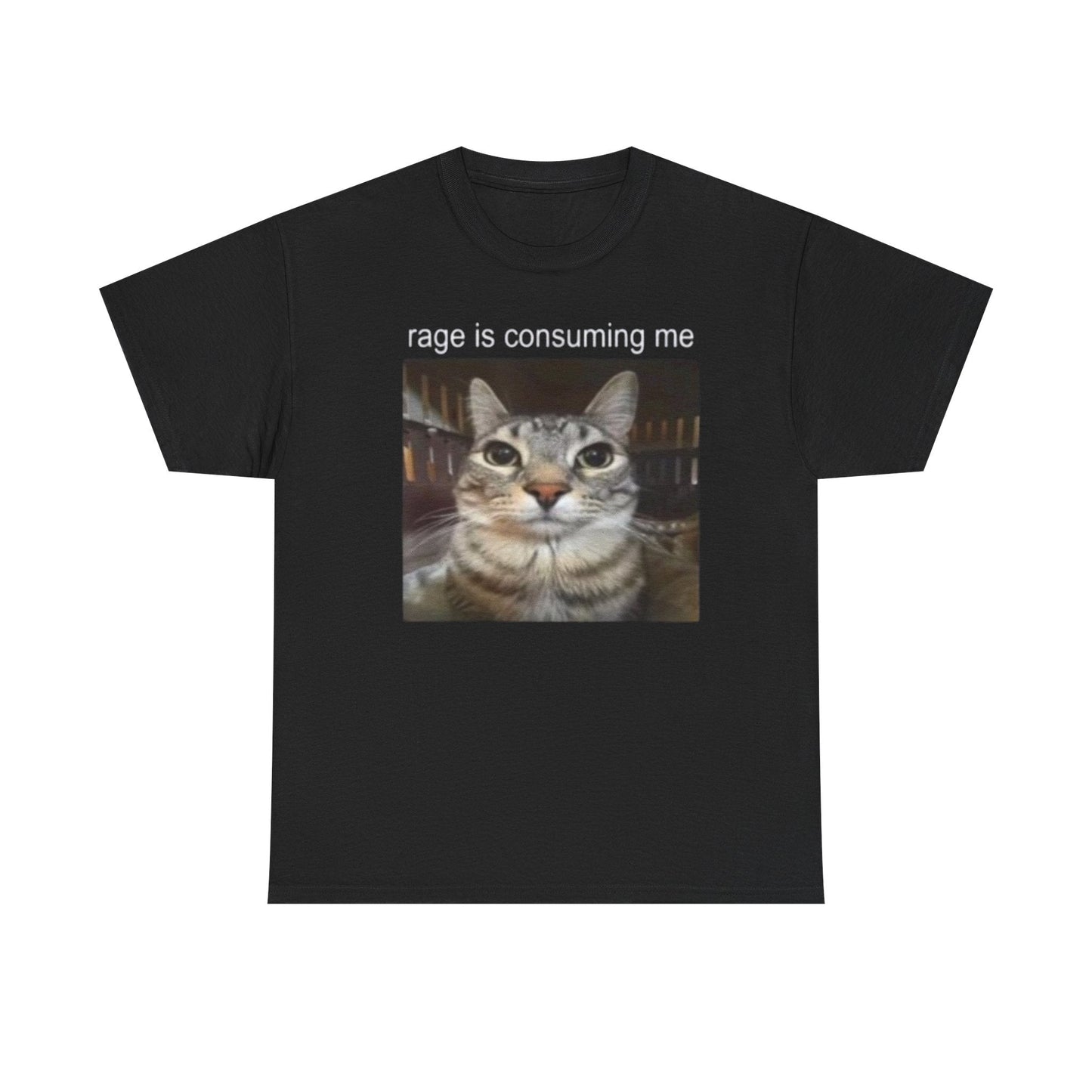 Rage Is Consuming Me Funny Shirt