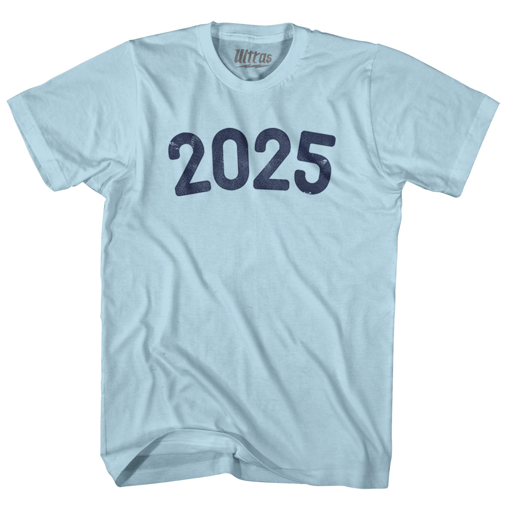 2025 Year Celebration Adult Cotton T-shirt Style003