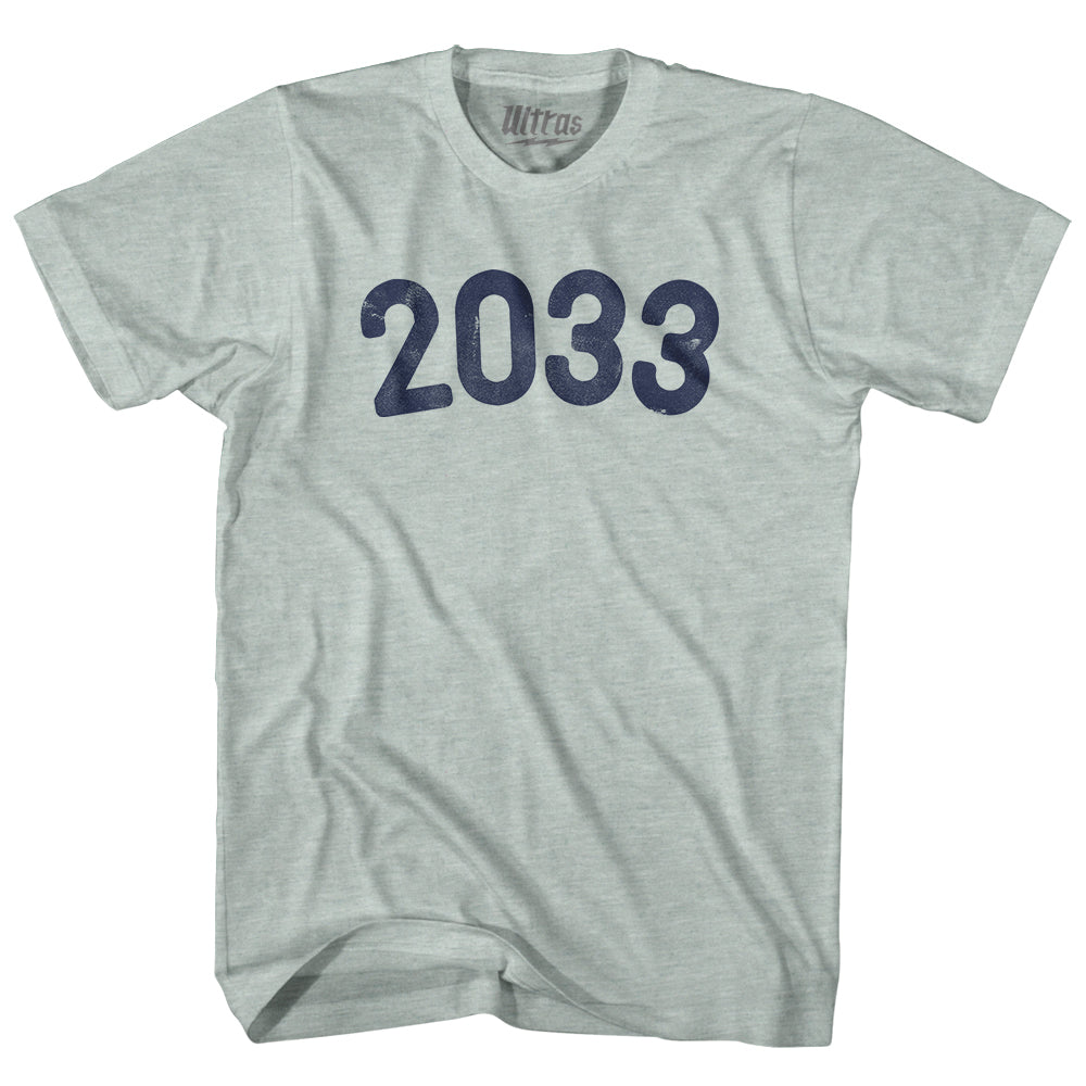 2033 Year Celebration Adult Tri-Blend T-shirt Style004