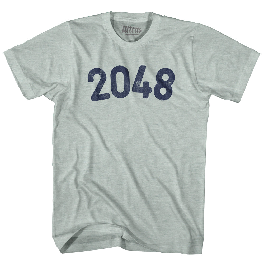 2048 Year Celebration Adult Tri-Blend T-shirt Style004