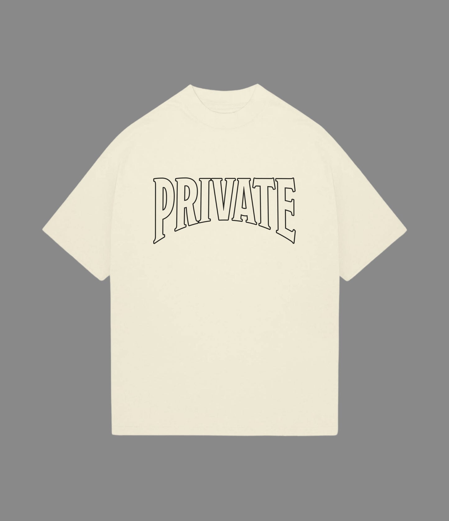 PRIVATE VICTORIES PRIVATE TEE - clothing by TeeHivey.com (Image 3)