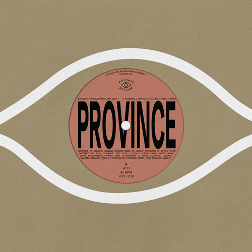Bartees Strange - Province / Ever New Vinyl Record - clothing by TeeHivey.com