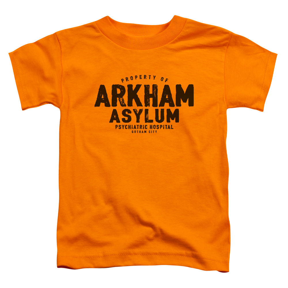 Batman Arkham Asylum Toddler Kids Youth T Shirt Orange