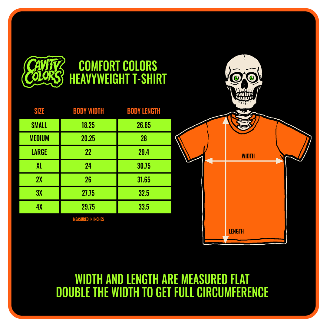GOOSEBUMPS CLASSIC: ONE DAY AT HORRORLAND - T-SHIRT