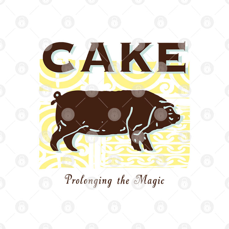 Cake Prolonging The Magic T Shirt