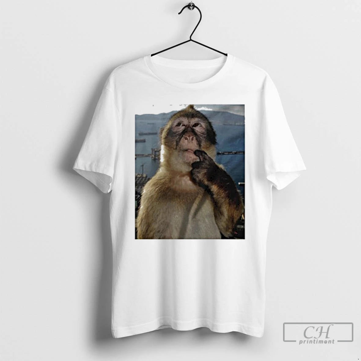 Classic Monkey Thinking Meme T Shirts - clothing by TeeHivey.com