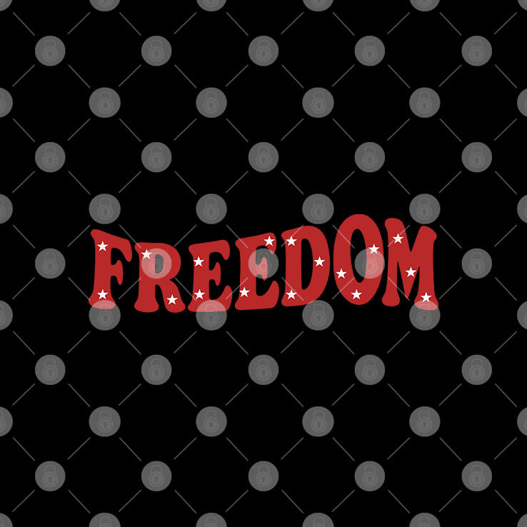 Freedom 4th Of July Couple T Shirt