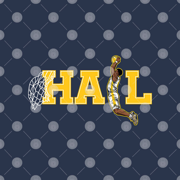 Michigan Wolverines Hail Dunk Hoodie