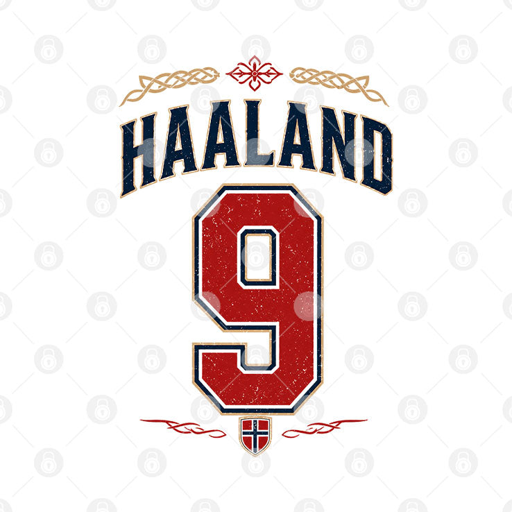 Norway Erling Haaland T Shirt