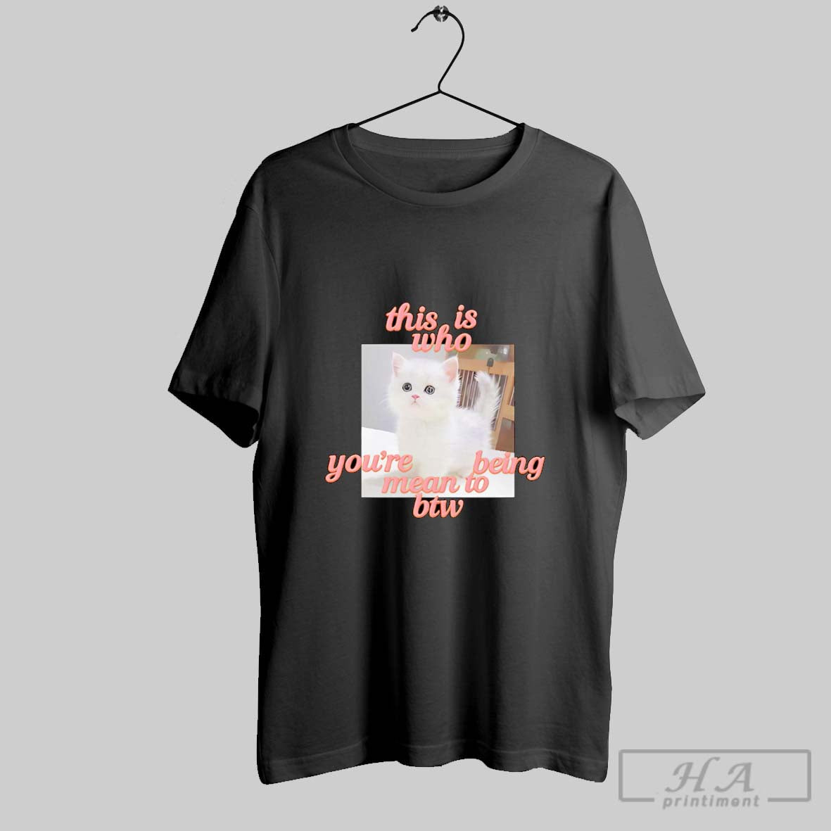 Official This Is Who Youre Being Mean To Btw Cat