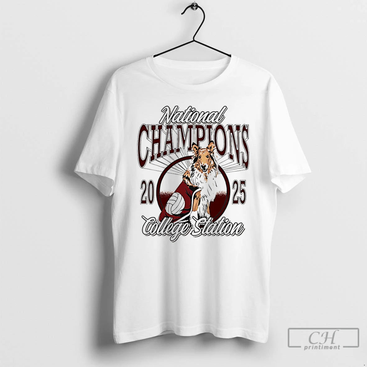 Premium Texas Am Aggies 2025 Volleyball National Champions College Station - clothing by TeeHivey.com
