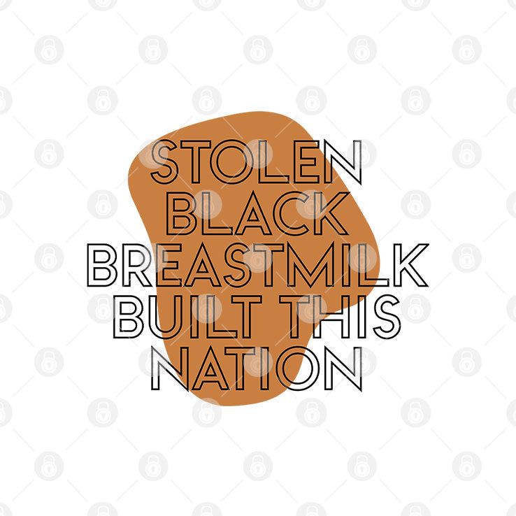Stolen Black Breastmilk Built This Nation T Shirt