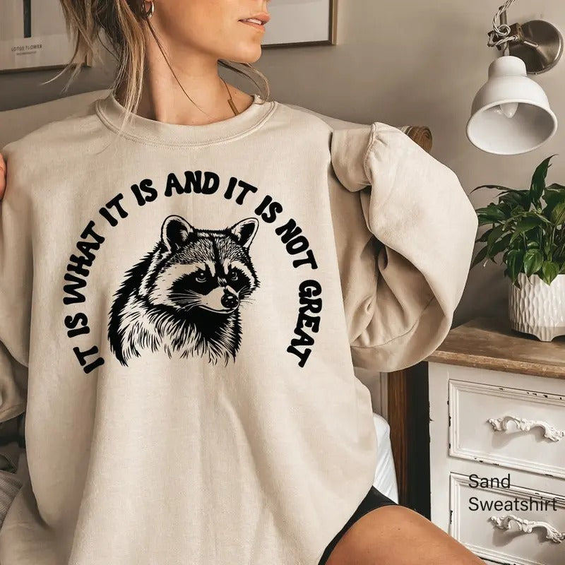 Unisex t Is What It Is And It Is Not Great Shirt, Raccoon Meme Shirt