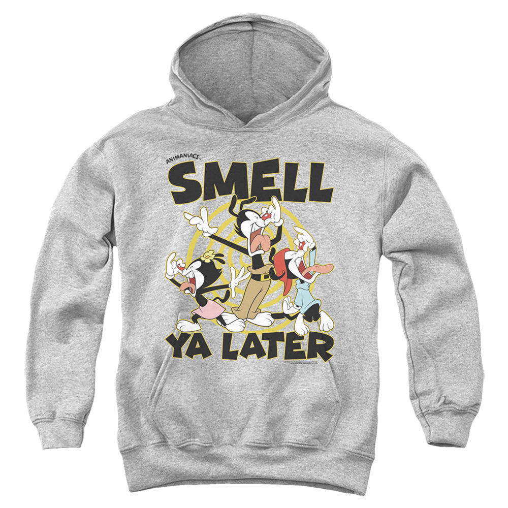 Animaniacs ell Ya Later Kids Youth Hoodie Athletic Heather - clothing by TeeHivey.com