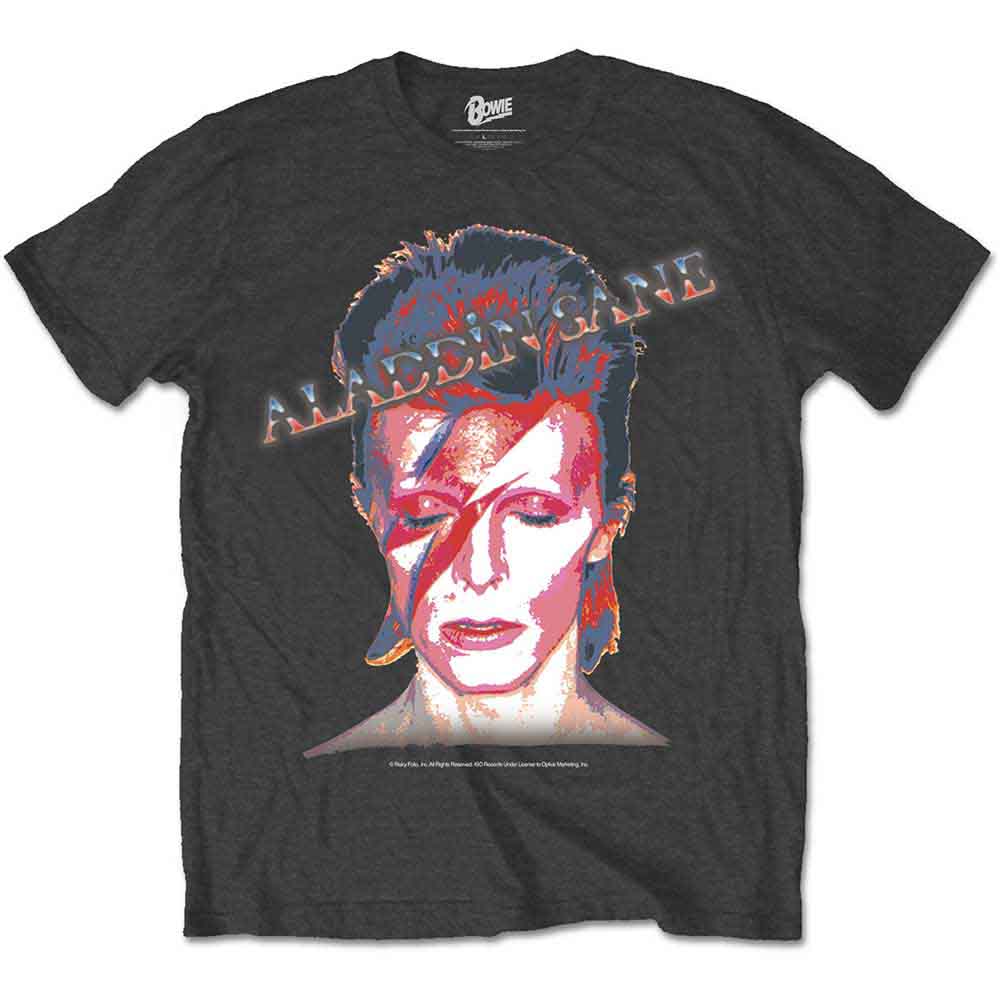 Aladdin Sane T Shirt Grey