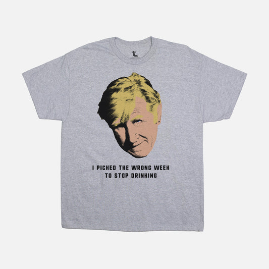 Funny Airplane Wrong Week to Stop Drinking Tee