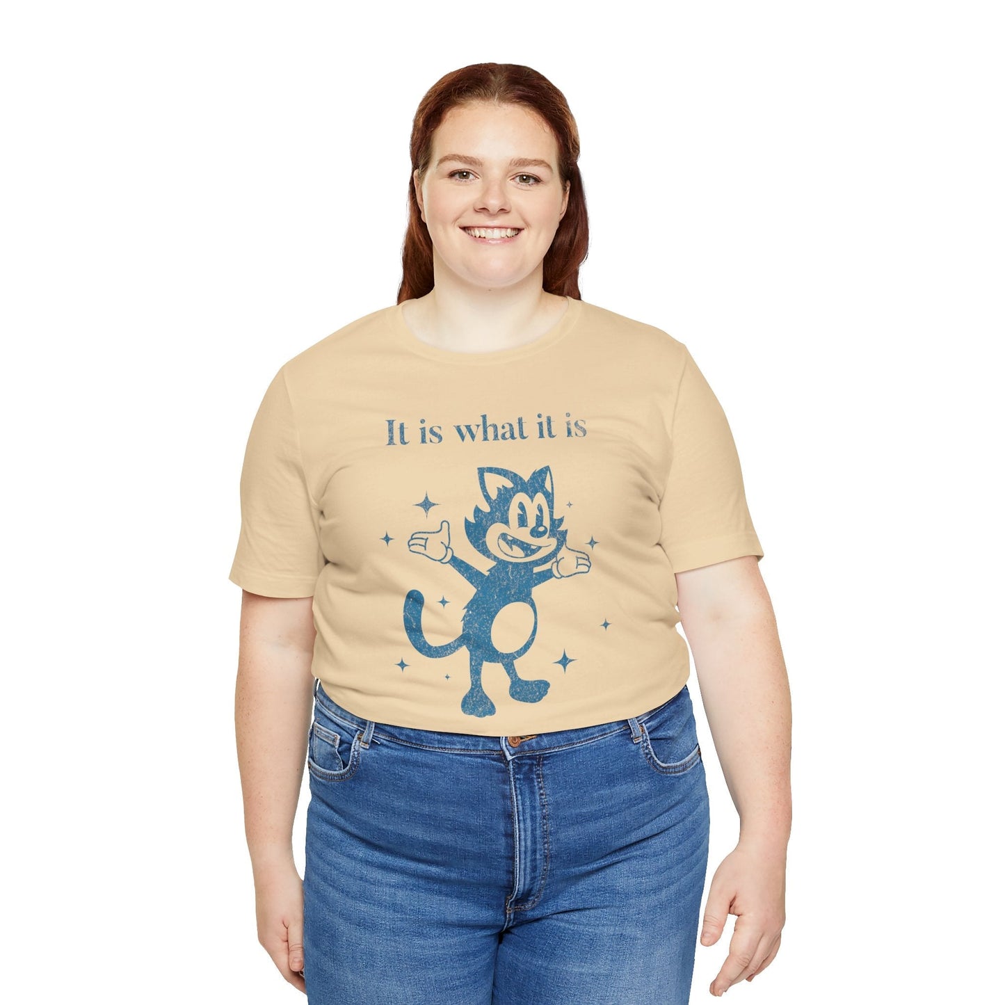 It Is What It Is, And It Is Not Great Funny Retro T-Shirt