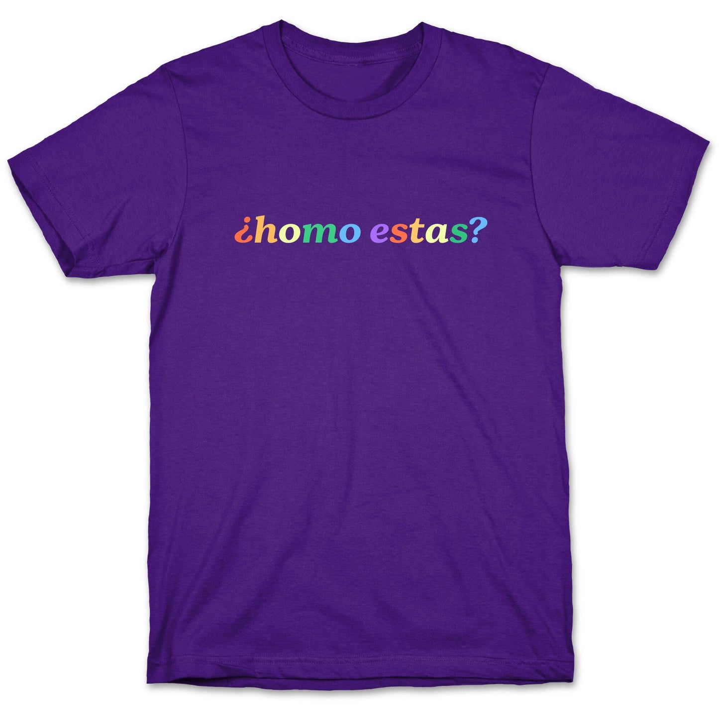 Homo Estas Rainbow T-Shirt