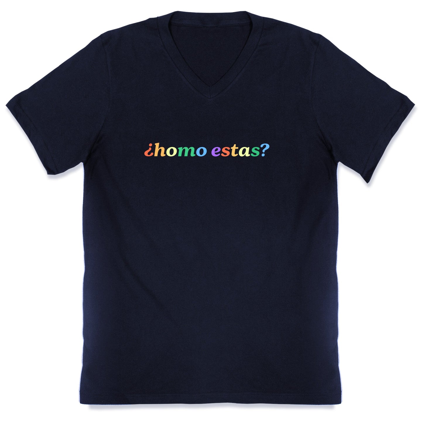 Homo Estas Rainbow V-Neck