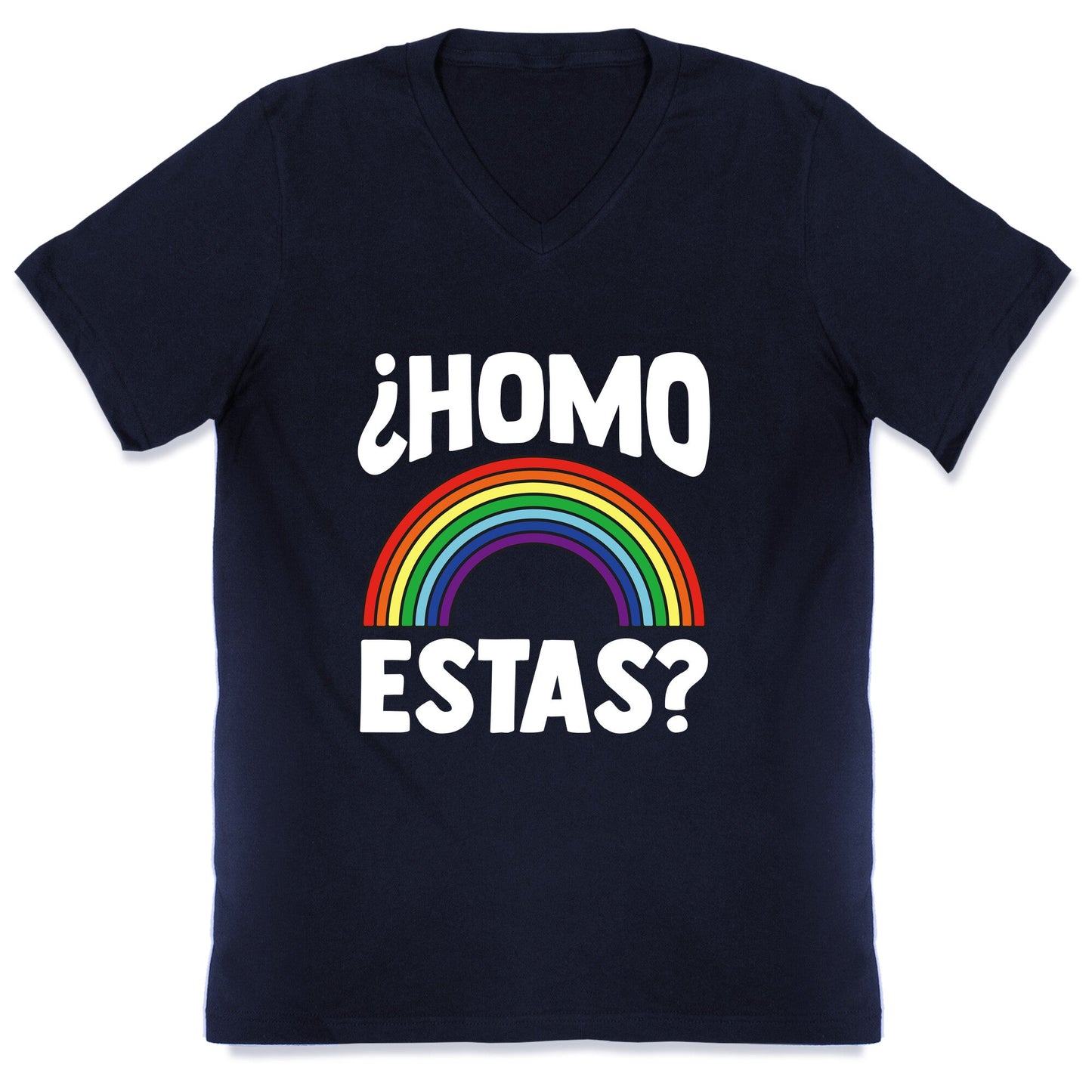Homo Estas Rainbow Pride V-Neck