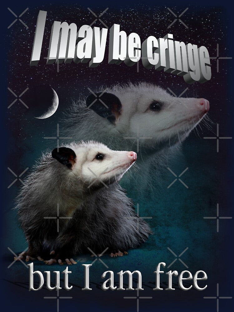 I may be cringe, but I am free possum by snazzyseagull