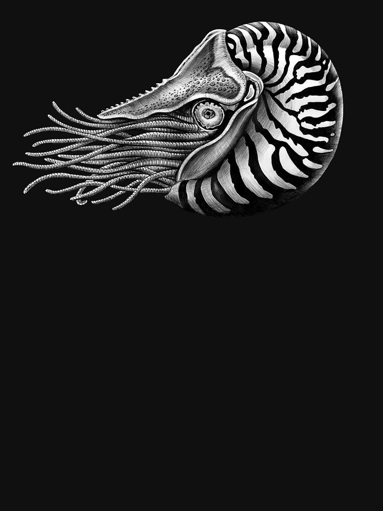 Nautilus by TimJeffsArt