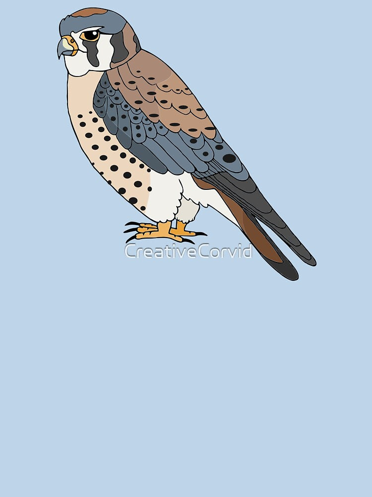 American Kestrel by CreativeCorvid