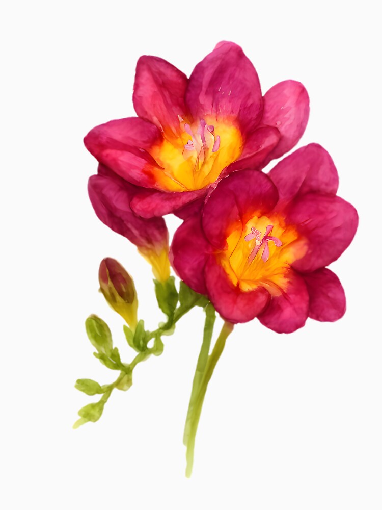 Freesia ‘Pink Passion’ by HOMETOWN86