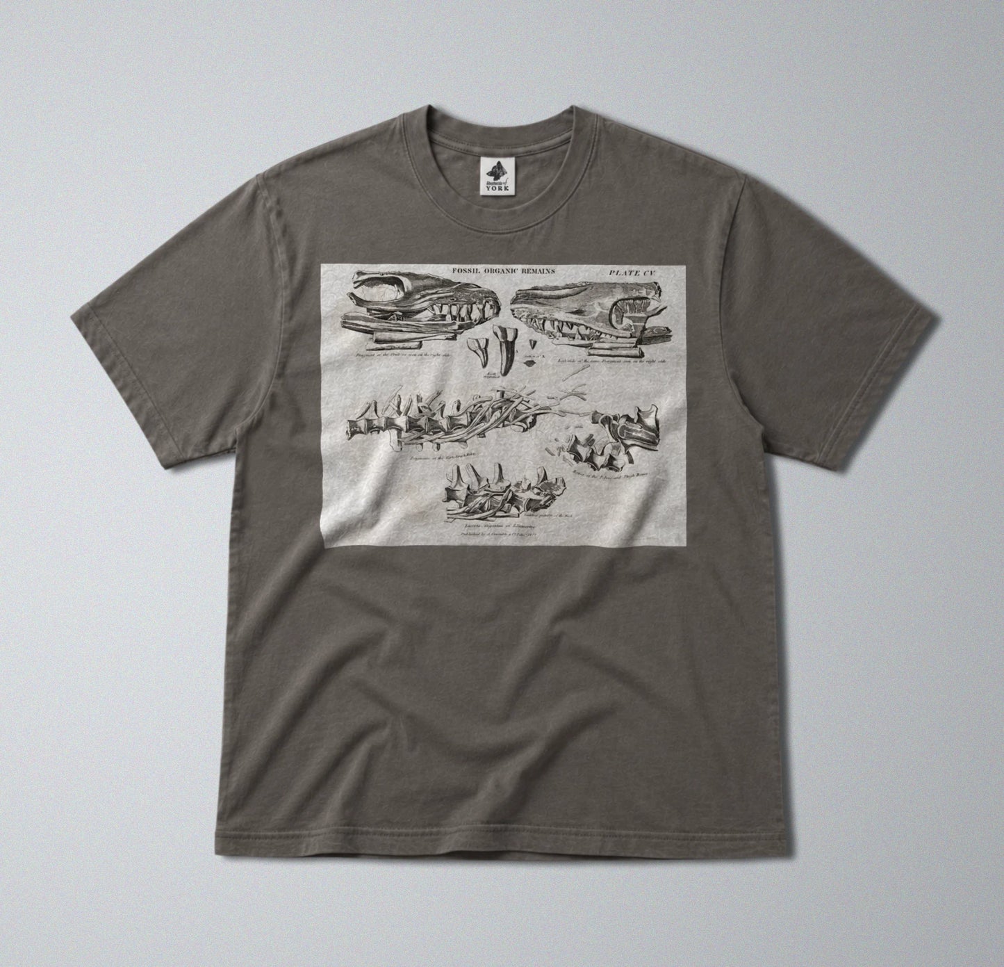 100% Cotton Tee - Regular Fit - Unisex - Prehistoric Mosasaurus Skull Fossil