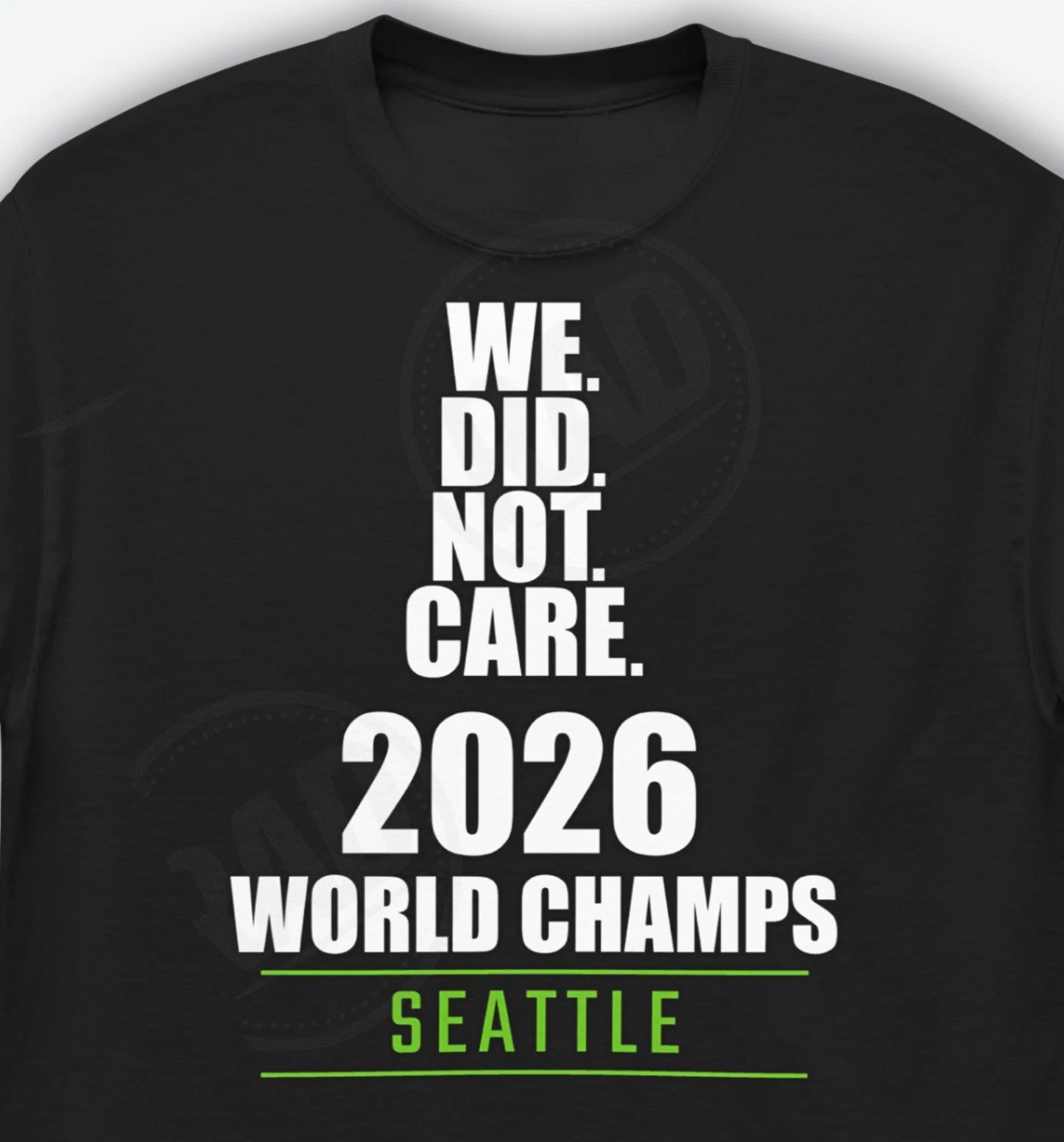Seahawks 2026 Champs WE DID NOT CARE Shirt Football World Champions Shirt