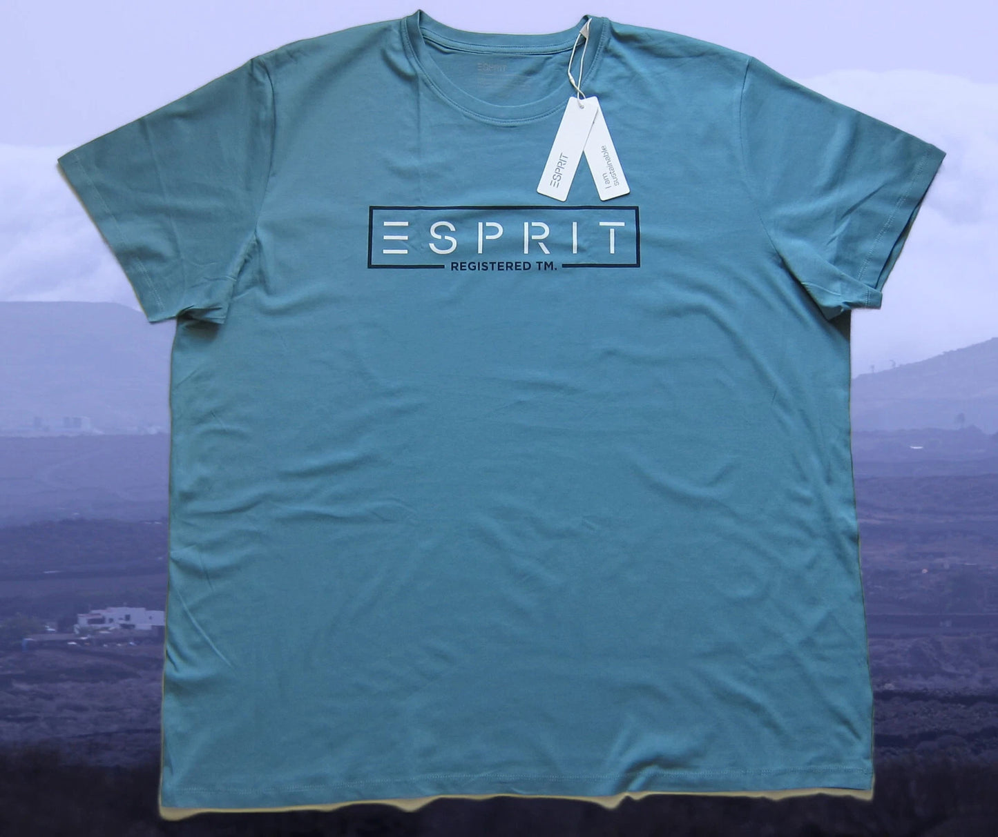 Esprit Mens T-Shirt 3XL, 4XL Turquoise, Dove Blue, Cotton, Cotton
