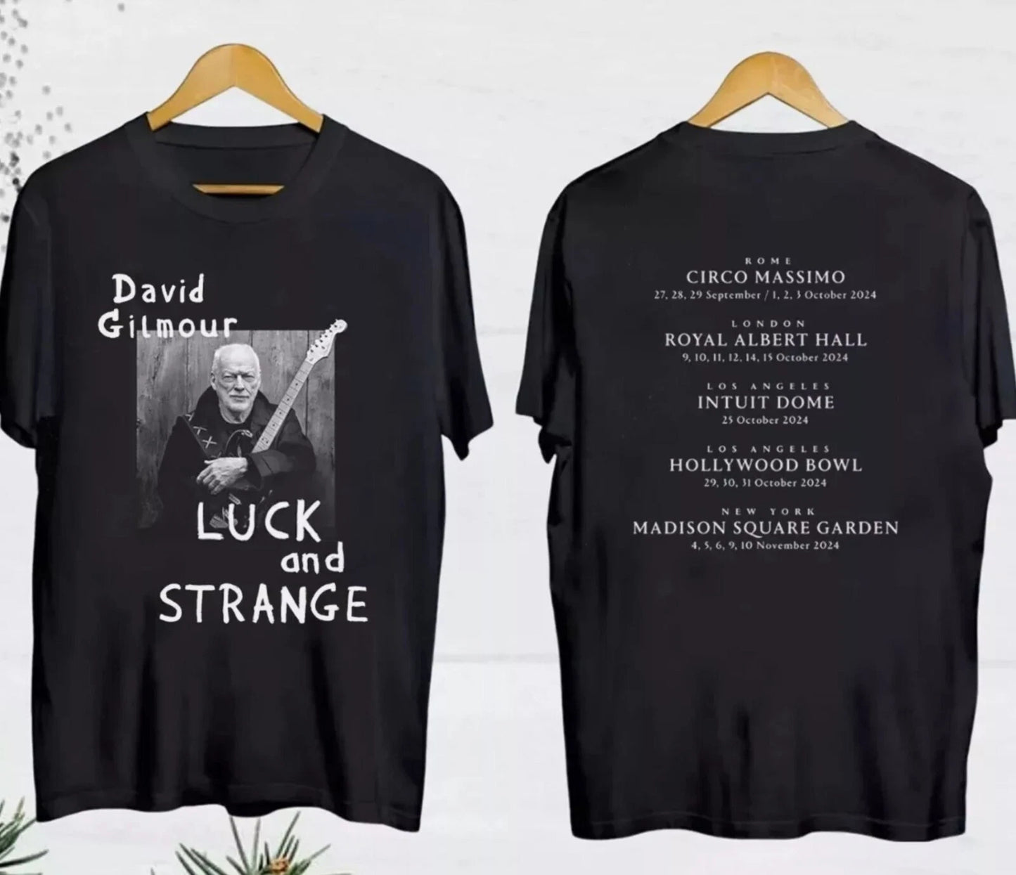 David-Gilmour Luck And Strange 2024 Tour Date Unisex Shirt, 2 styles Fan Shirt