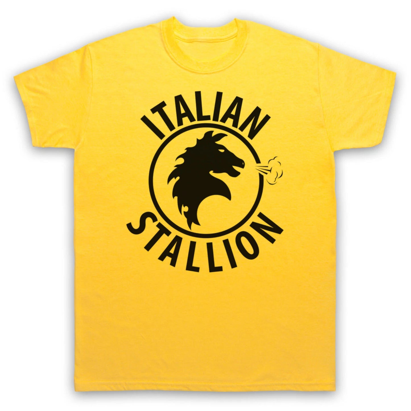 ITALIAN STALLION UNOFFICIAL ROCKY BOXING LOGO ROBE FILM MENS & WOMENS T-SHIRT