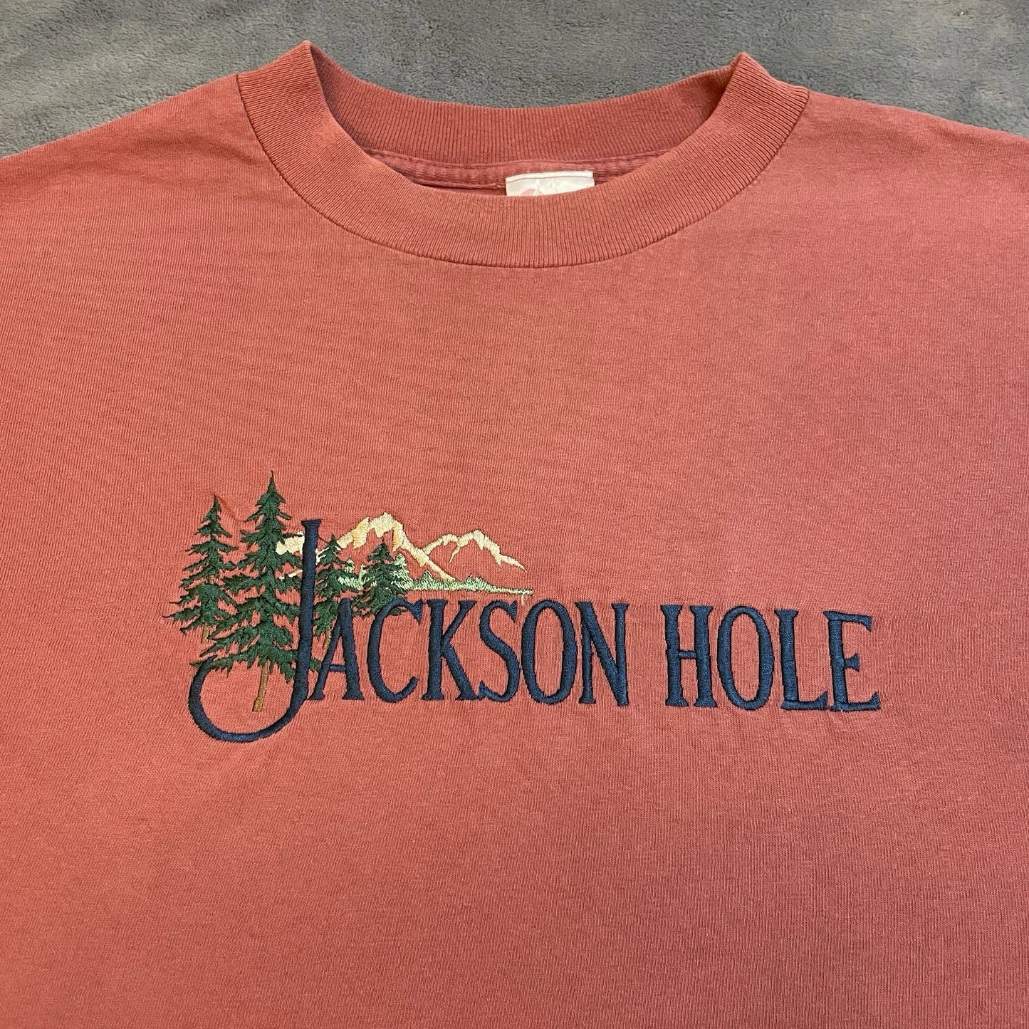 Vintage 90s Jackson Hole T-Shirt Mens Large Pine Trees Mountains Art Streetwear