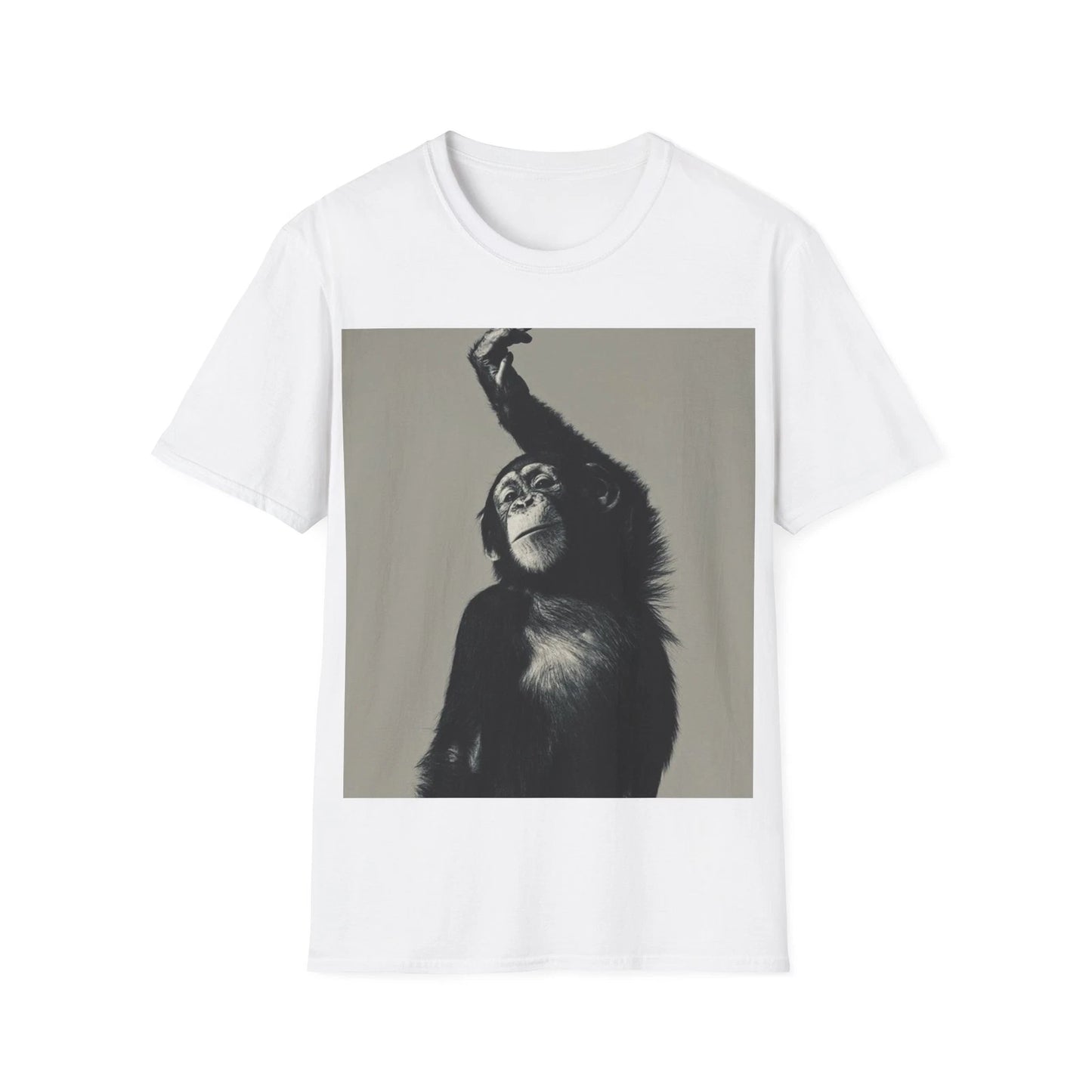 Unisex t-shirt, Men's t-shirt, Women's t-shirt, Tee with print, b/w print.