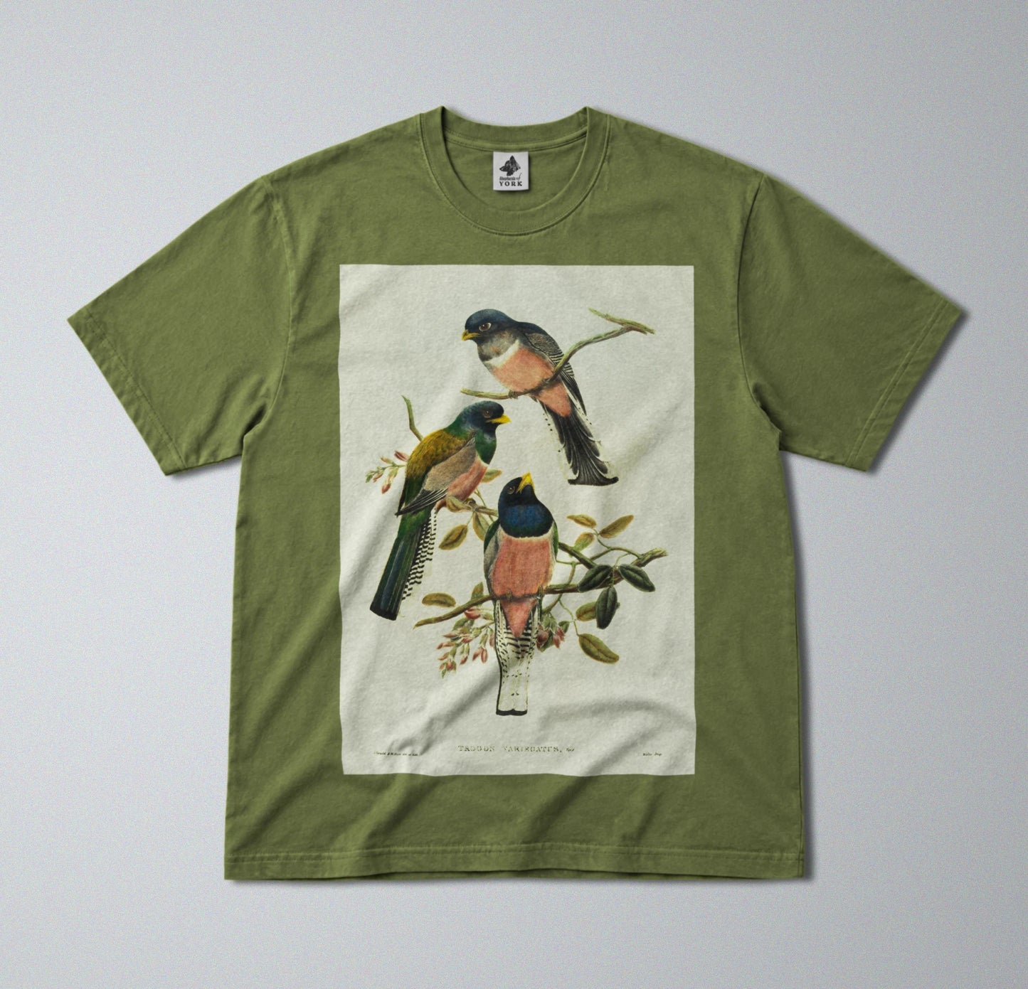 100% Cotton Tee - Regular Fit - Unisex - Colorful Perching Birds Print