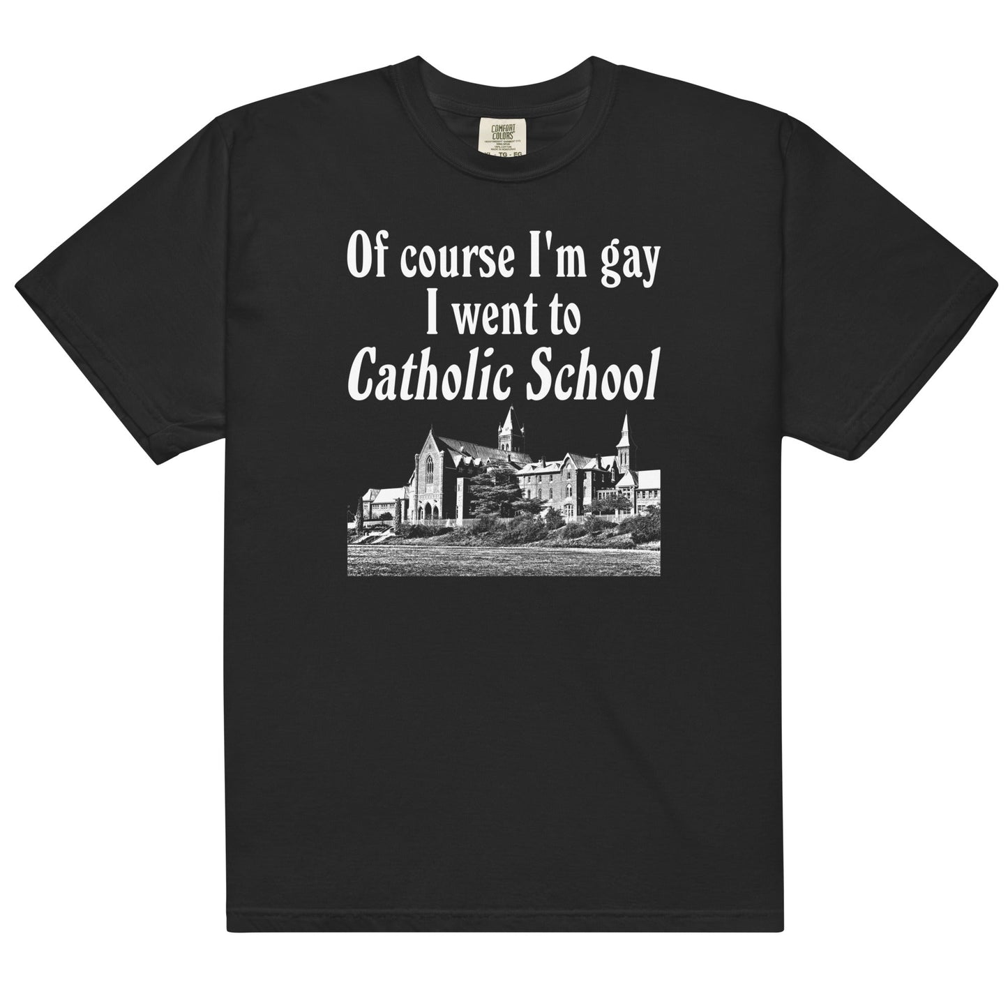 I Went to Catholic School Unisex t-shirt