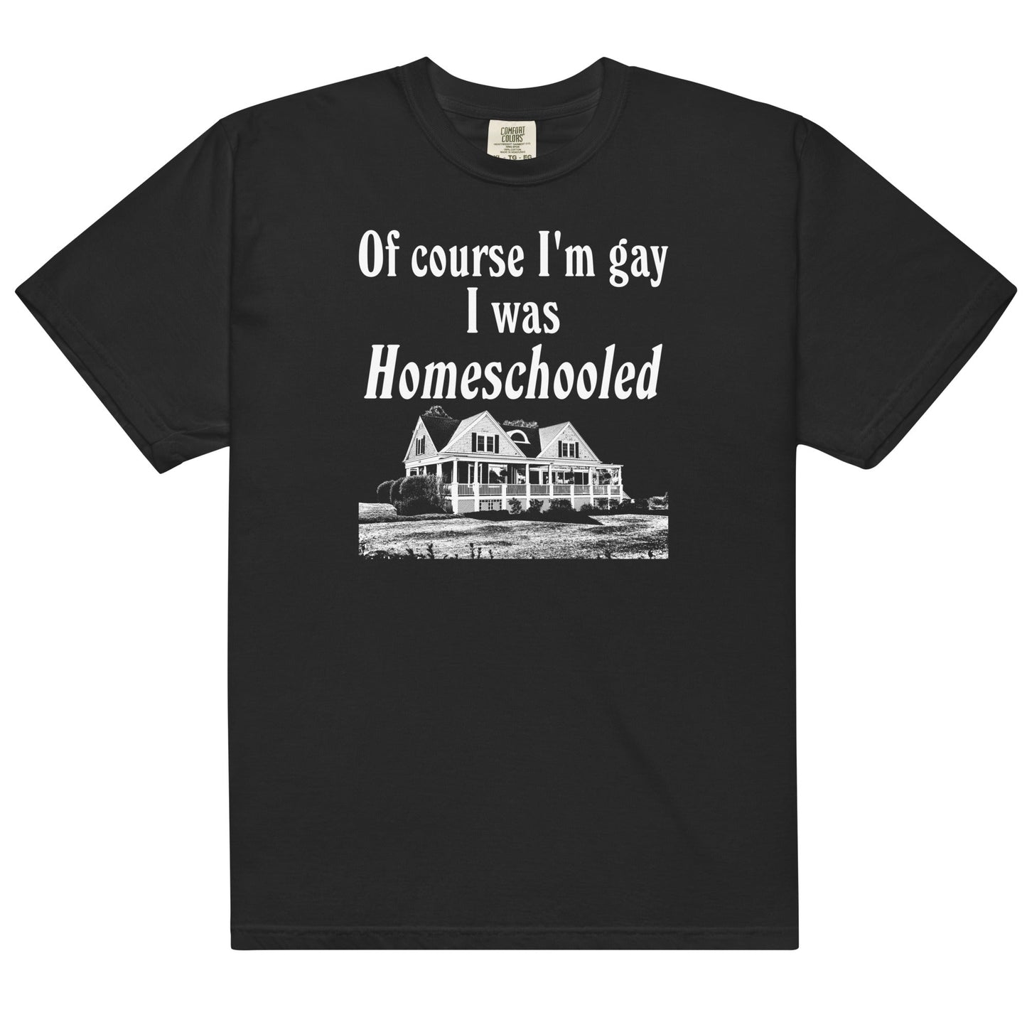 I Was Homeschooled Unisex t-shirt