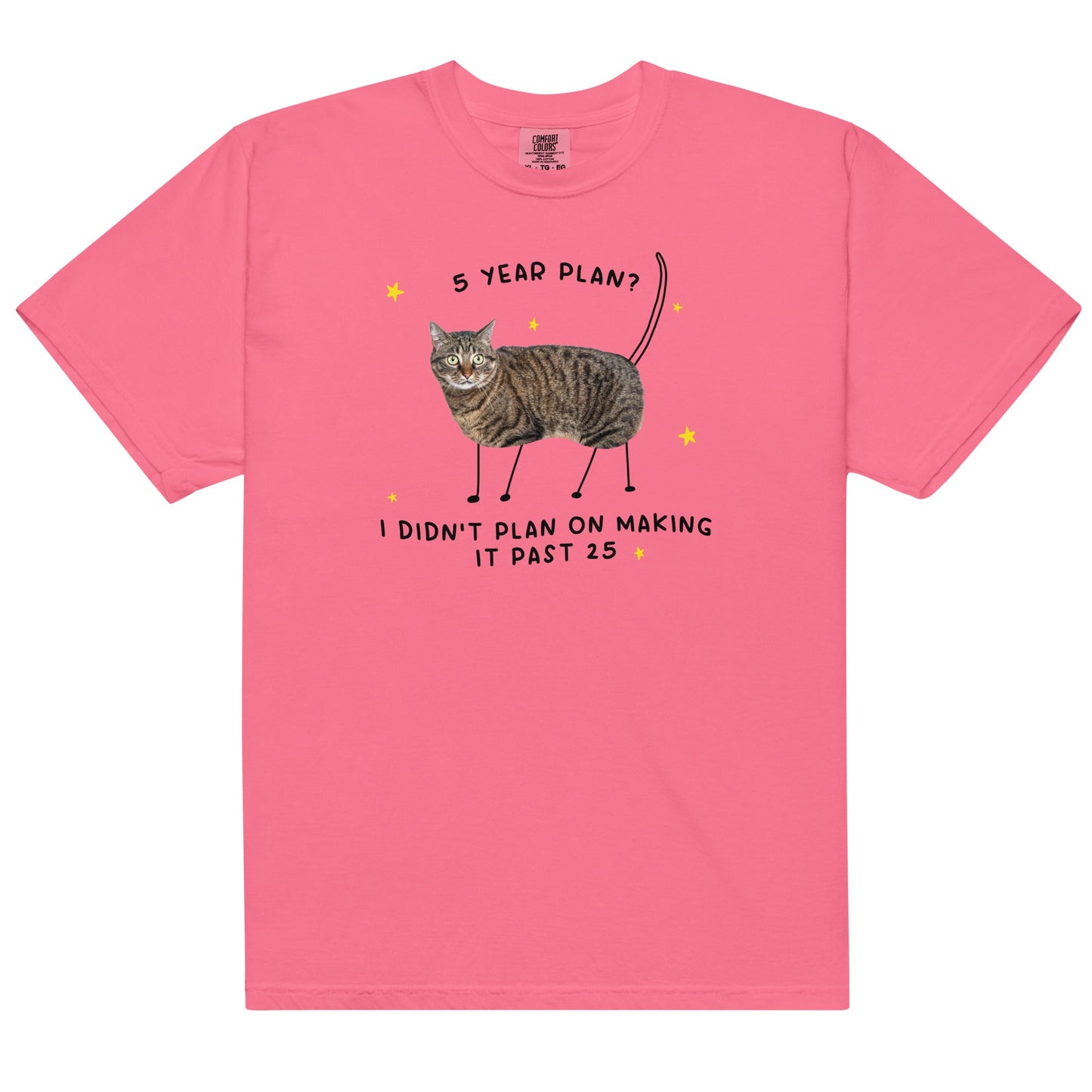 5 Year Plan Unisex t-shirt