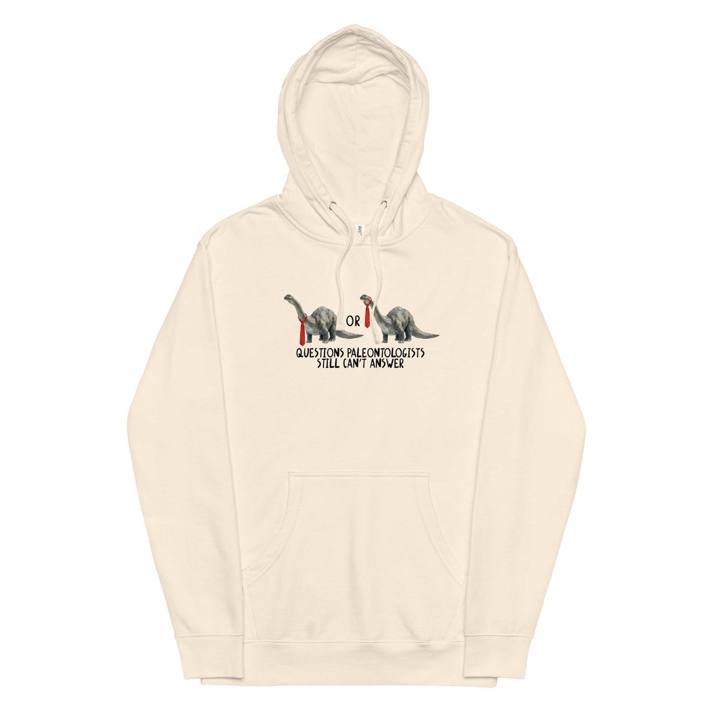 Questions Paleontologists Still Can’t Answer Unisex hoodie