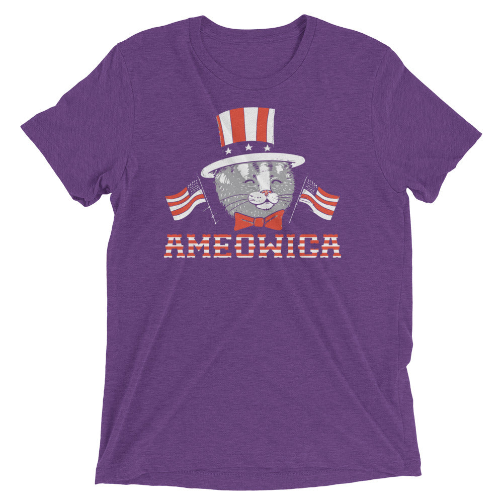 Ameowica Men's Tri-Blend Tee
