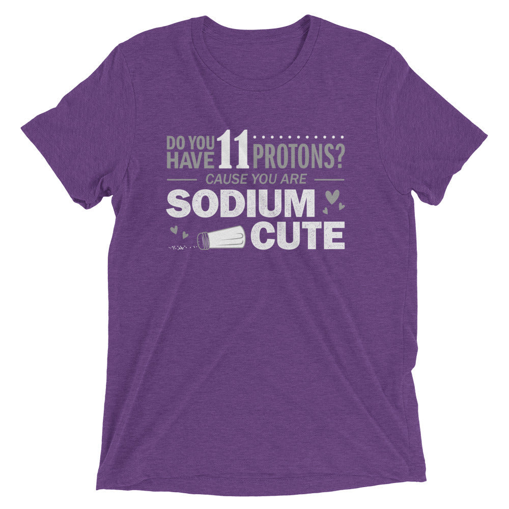 Do You Have 11 Protons? Men's Tri-Blend Tee