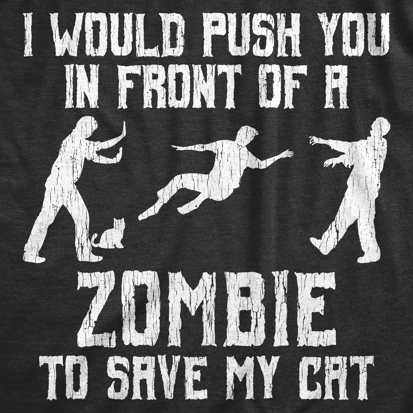 I Would Push You In Front Of A Zombie To Save My Cat Women's T Shirt