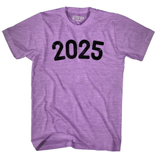 2025 Year Celebration Adult Tri-Blend T-shirt Style006