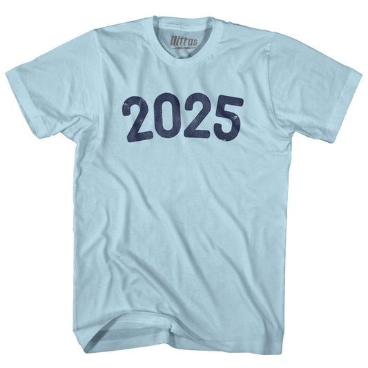 2025 Year Celebration Adult Cotton T-shirt Style003