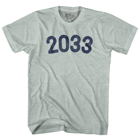 2033 Year Celebration Adult Tri-Blend T-shirt Style004