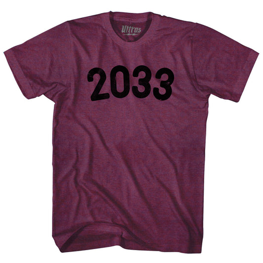 2033 Year Celebration Adult Tri-Blend T-shirt Style003