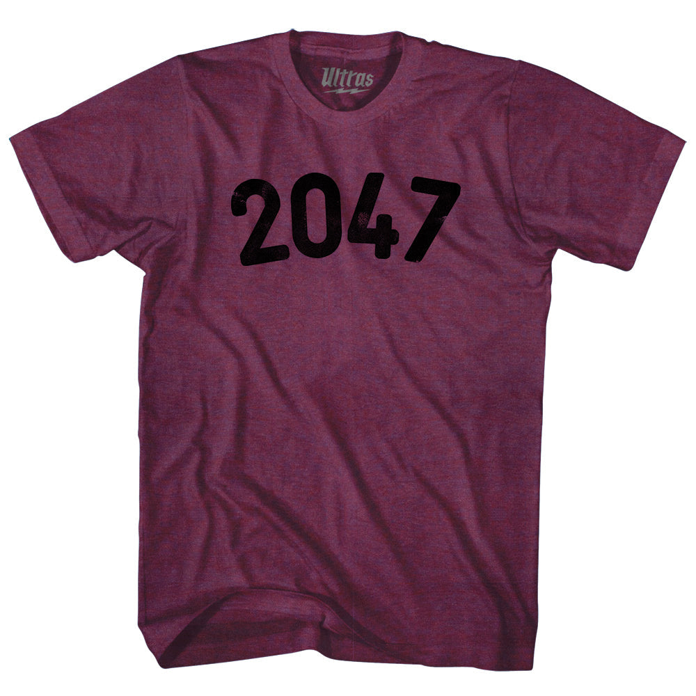 2047 Year Celebration Adult Tri-Blend T-shirt Style003