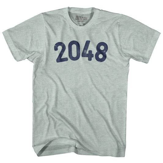 2048 Year Celebration Adult Tri-Blend T-shirt Style004
