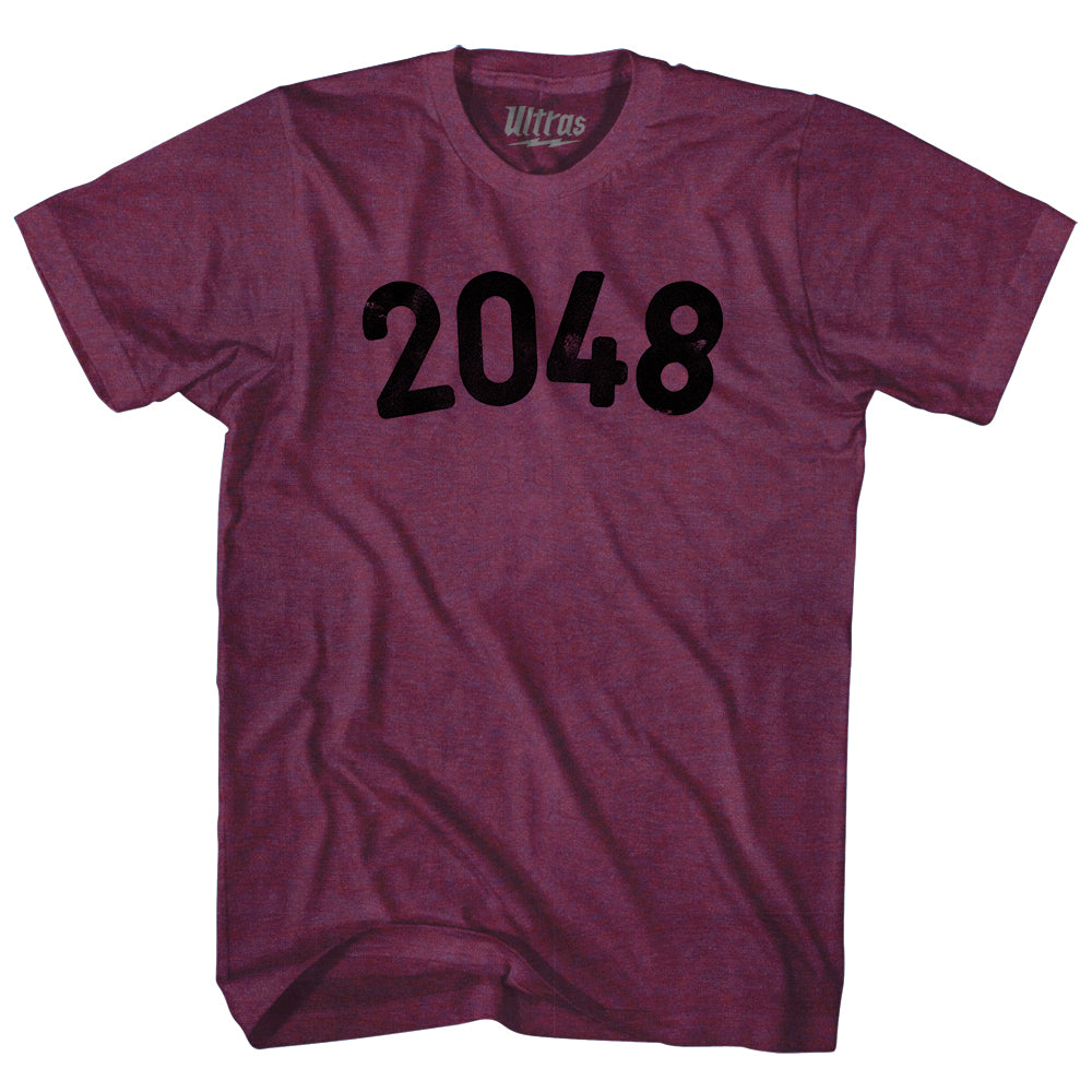 2048 Year Celebration Adult Tri-Blend T-shirt Style003